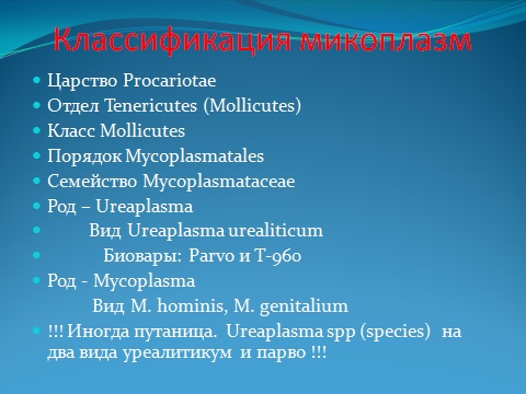 классификация микоплазм